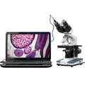 ams1300-amscope-b120c-e1-40x-2500x-led-digital-binocular-compound-microscope-w-3d-stage-1-3mp-usb-imager